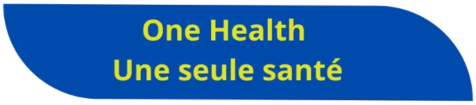One health - une seule santé