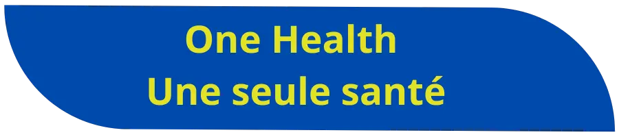 One-Health  une seule santé
